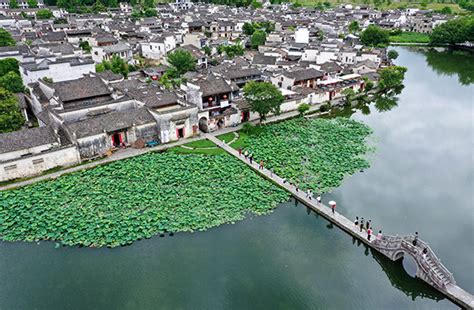 廣州惠州有什麼特產，探討惠州地道風味與文化遺產的交融之美